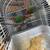 Parrot finch 2 thumbnail