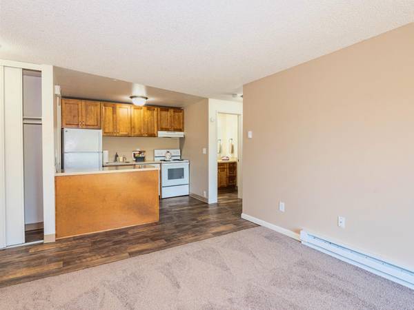 $1,345 / 1br - ¡AHORRA $500 AHORA! Amplios armarios y estanterías empotradas: Un dormitorio remodelado (Tigard)63831396785795124
