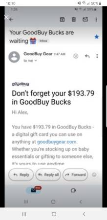 Goodbuygear.com Children's Store Credit- $193- No expiration 1