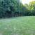 Brush Mowing / Forestry Mulching 2 thumbnail