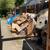 AFFORDABLE JUNK REMOVAL- Same Day Free Estimates♻️ (916)799-7560 17 thumbnail