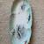 Limoges Fish Platter and 9 Plates 1 thumbnail
