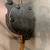 1973 mikuni 40 carb 3 thumbnail
