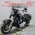 2016 Harley-Davidson Fat Boy® Lo Softail® 11 thumbnail