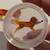 2 small hand blown glass wiener dogs 2 thumbnail