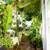 Room in the Mission starting early oct - Sooner an option. 1 thumbnail