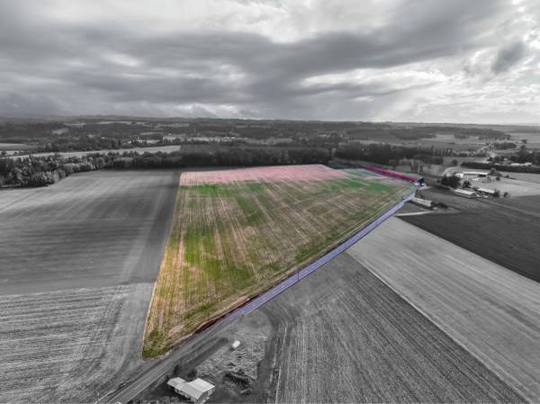 $2,100,000 / 3480444ft2 - 80 acres of prime agricultural land (Mt. Angel)63624760275585122