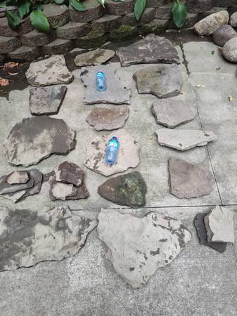Flat river rocks 1