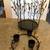 Collectable Retired  “Partylite” Fall Leaves  🍁🍁 Taper Candle Stand & 2 thumbnail