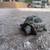 Russian Tortoise Hatchling 6 thumbnail