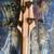 Ibanez Soundgear 4 string fretless bass 3 thumbnail