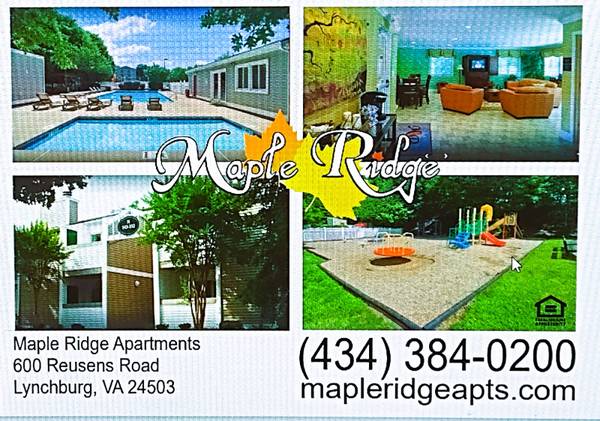 $921.00 / 1br - 672ft2 - Vinyl Plank Flooring on Basement Level 1 Bed/1 Bath Unit in Lynchburg,63851970883457120
