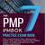2025 PMP Exam Books, Mock Exam and Other Study Materials (New!) 2 thumbnail