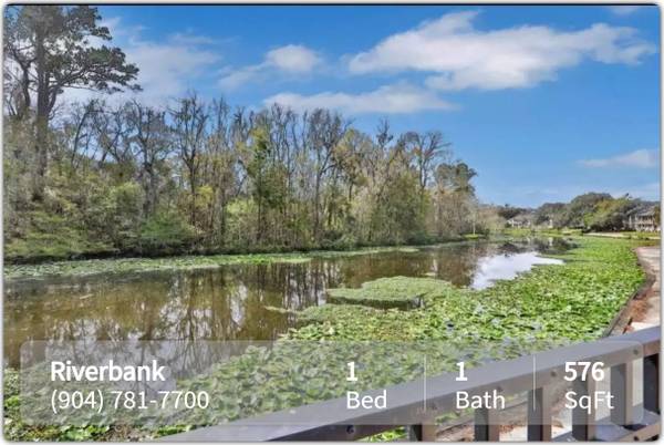 $915 / 1br - 576ft2 - Elegance in every detail: Dive into our 1 BR, 1 BA. (Jacksonville)64005270148483120
