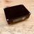 Acorn Instruments Solid State Amp Pedal *Gravity Music Gear* 4 thumbnail