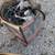 Pontiac Firebird Trans Am Parts Early 70s to late 70s parts LOOK!! 5 thumbnail