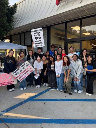 LOCAL NONPROFIT NEEDS CANOPIES 1