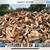 100% oak Seasoned Fire wood (Guaranteed Oak) 3 thumbnail