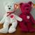 Valentino and Valentina TY Beanie Babies, both 1 thumbnail