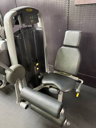 Technogym selection seated leg curl machine 1