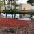 Rehabbed apartment, location, location 2/1, by owner. 6 thumbnail