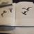 Jonathan Livingston Seagull 6 thumbnail