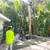 LICENSED TREE SERVICE-TREE TRIMMING-TREE REMOVAL-HEDGE REMOVAL-LAKE WORTH 3 thumbnail