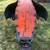 WHEN PIG'S FLY!!! LARGE Collectable metal "PIG" home or garden art. 5 thumbnail