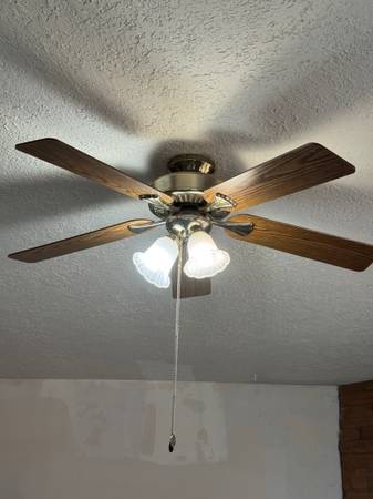 Ceiling fans 1