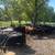 Bred cows 10 thumbnail