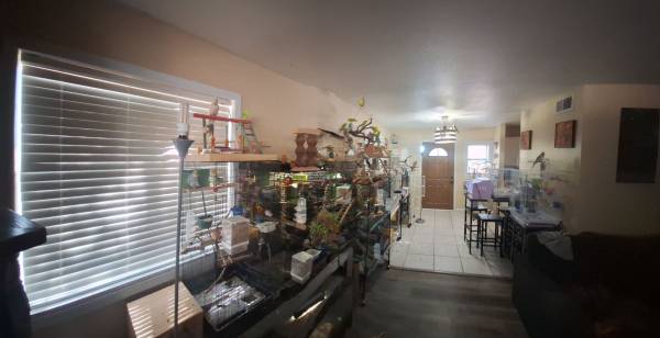 Alojamiento para aves en Payson (Payson)63967145984002121
