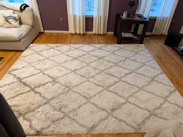 Large Area Rug 1