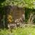 73± Acres with Executive Home, Barns, and Rural Paradise 4 thumbnail