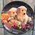 Authentic Signed Artist Dog Plates $10 FOR ALL 9 thumbnail