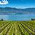 1 Bed, Luxury Vinyl Plank Flooring, Situated in Kelowna! 2 thumbnail