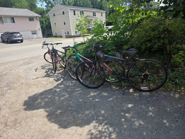 FREE Bikes 1