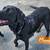 Black Lab 3 thumbnail