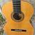 Classical Guitar 1 thumbnail