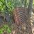Securities windows Bars or fence 7 thumbnail