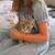 Tabby kitten 4 thumbnail