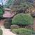 "SAILE" Landscaping 4 thumbnail