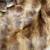 Vintage Mink Fur Pelt Lot – Approx. 50 Pieces – Beautiful Condition 5 thumbnail