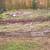 Landscaping Rocks 4 thumbnail