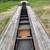 Felling XF-110-3HDG Tri Axle Lowboy 3 thumbnail