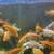 Re homing koiy fish  $3&up 5 thumbnail