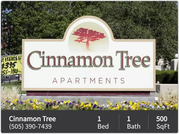 Section 8 housing for rent