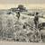 WWI Antique Postcards - Collectible Lot of Twelve 12 thumbnail
