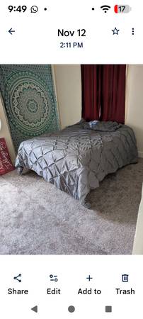 Looking 4room mate shills 1