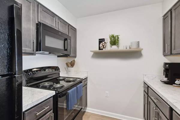 $585 / 1br - Everything you need, convenient location, affordable 1 bed, 1 bath (Queenstown - Terrapin Nature Park)63806890600705121