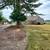 Country charm 1 thumbnail